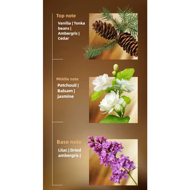 Luxury Velvet Intensely Brown by Sellion 100ML