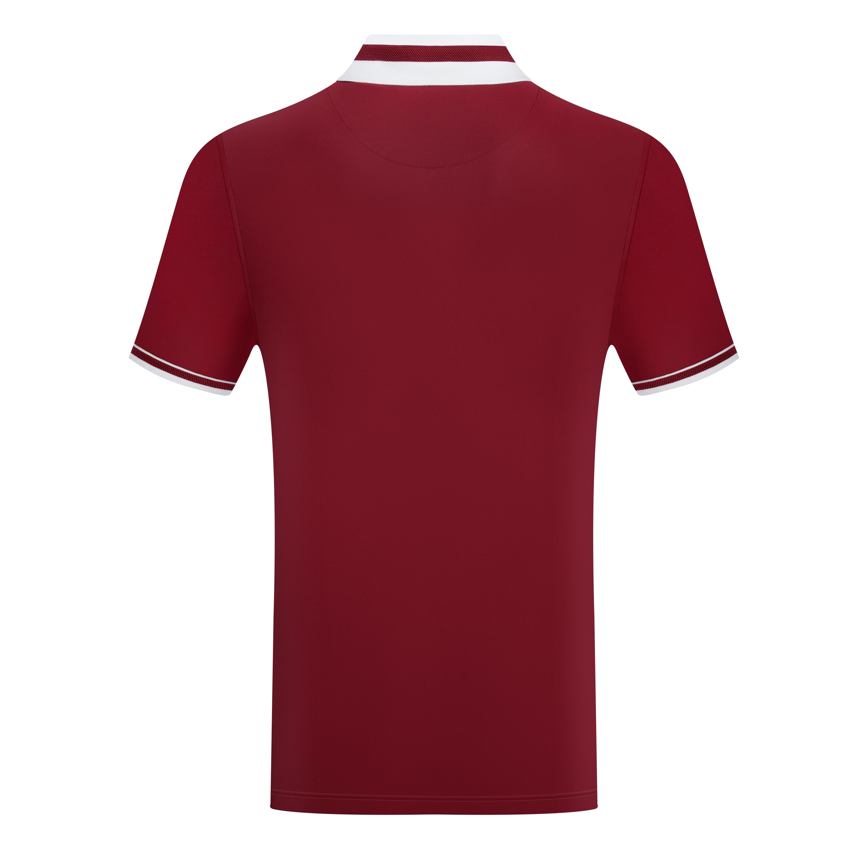 Men’s Contrast Collar Polo Shirt