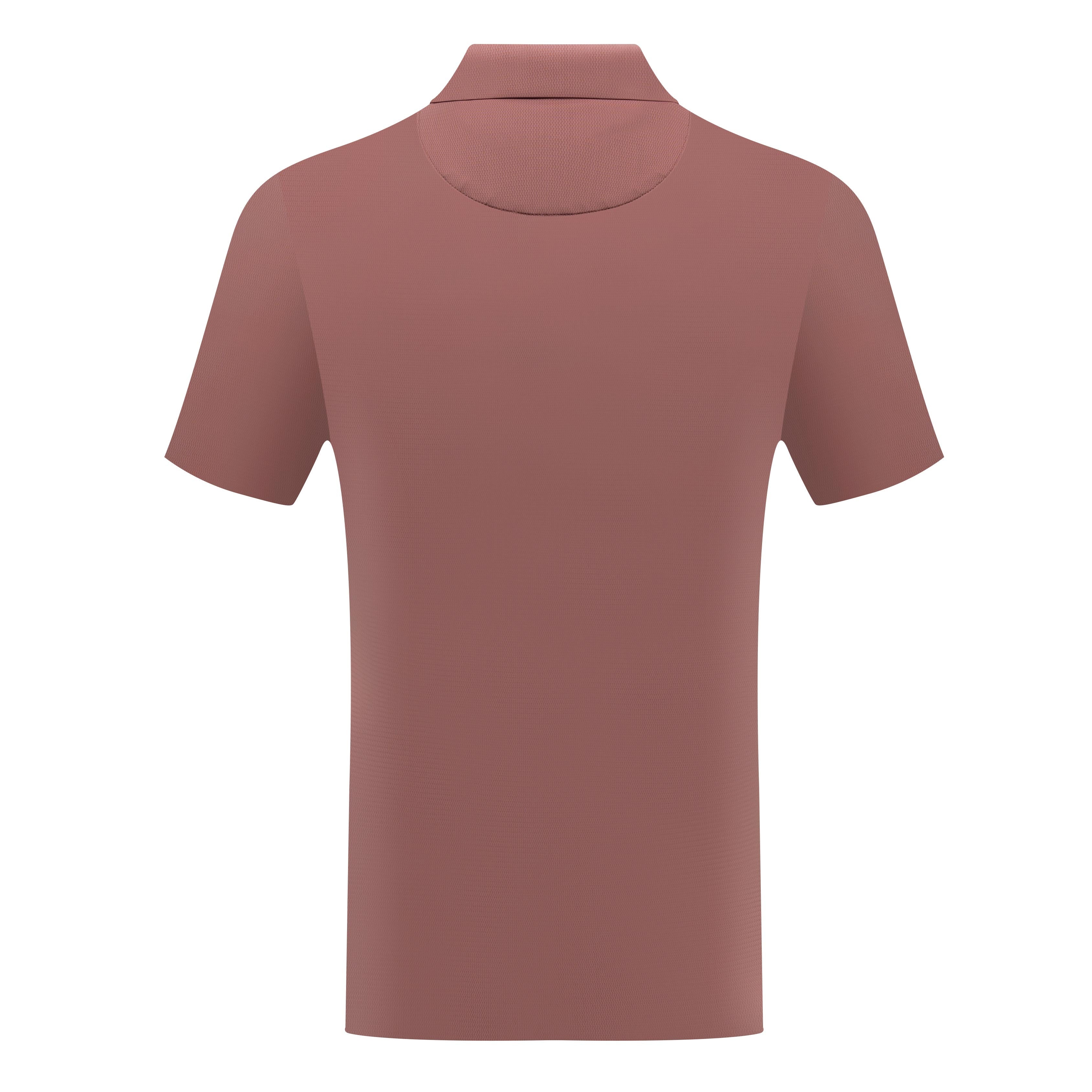 Short Sleeve Polo with Chest Stripe Detail