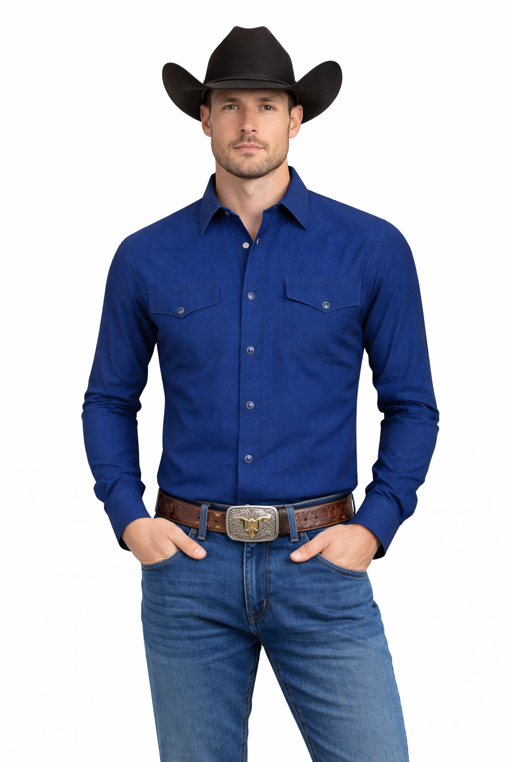 Snap-Down Western Long Sleeve Shirt