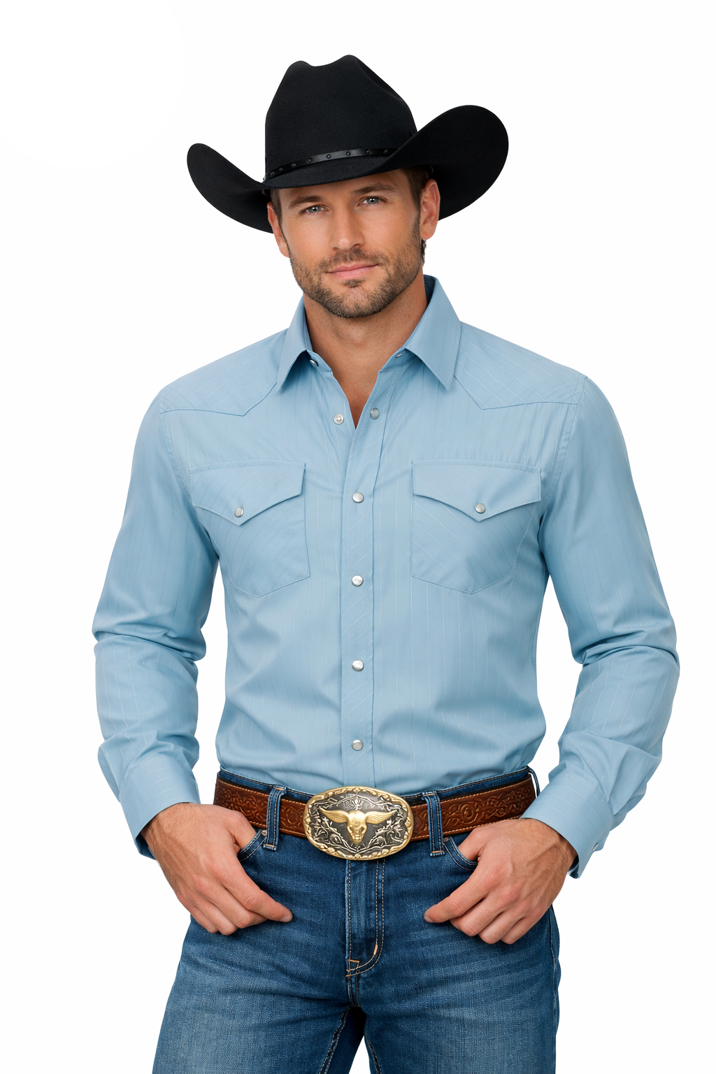 Snap Down Western Long Sleeve Shirt