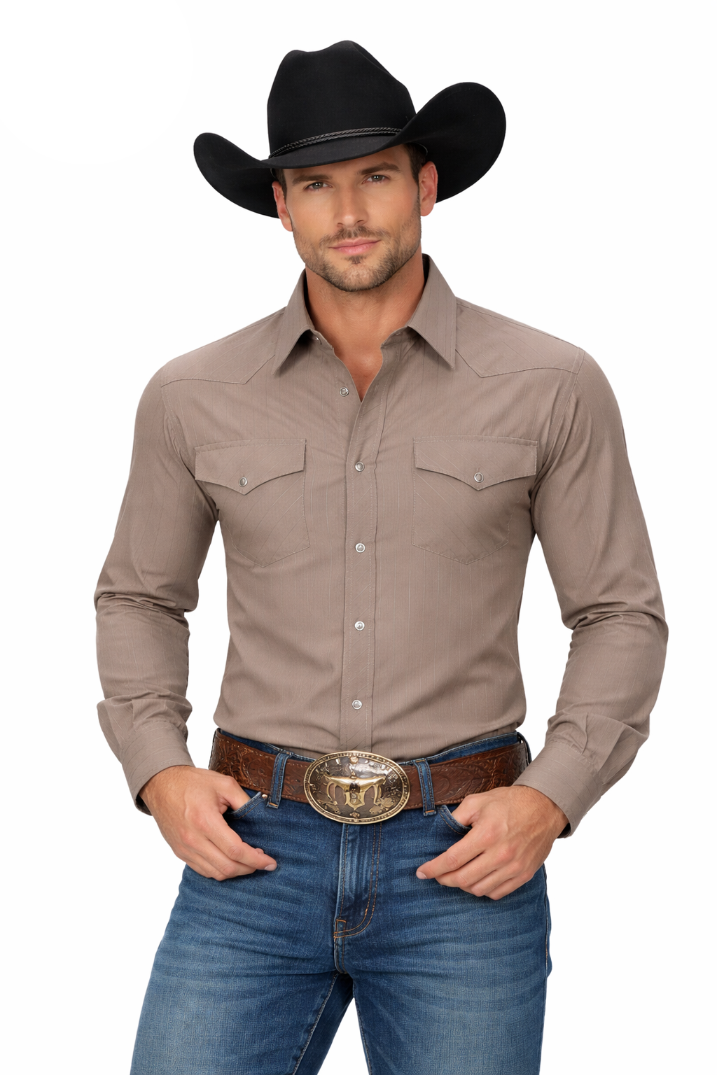 Snap Down Western Long Sleeve Shirt