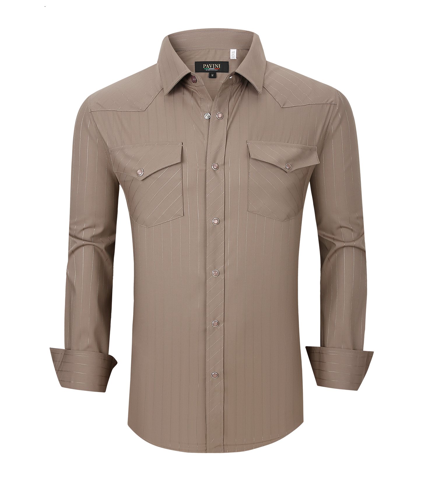 Snap Down Western Long Sleeve Shirt