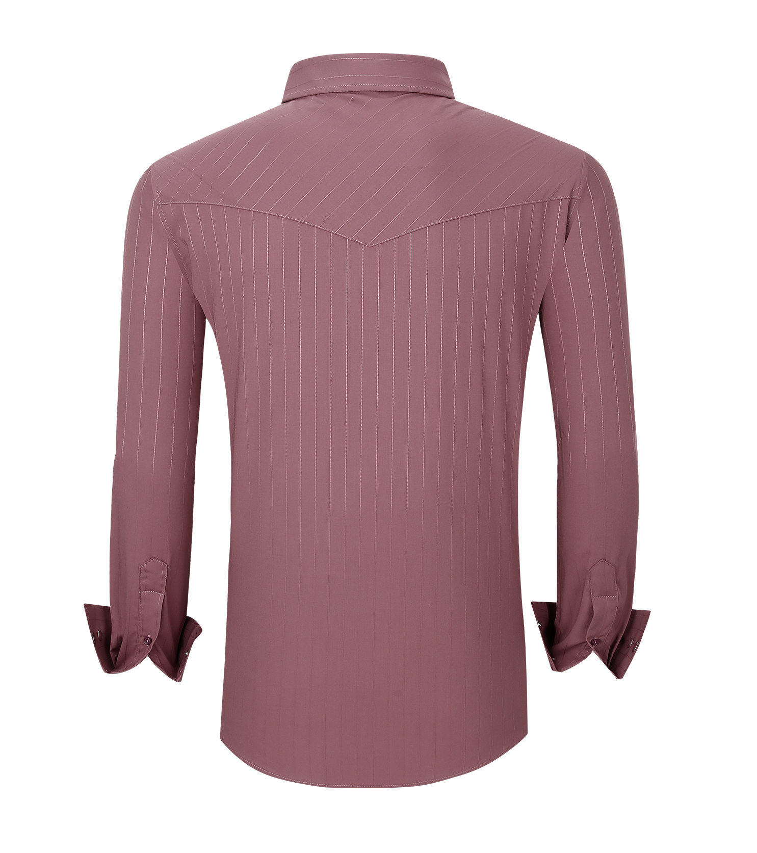 Snap Down Western Long Sleeve Shirt