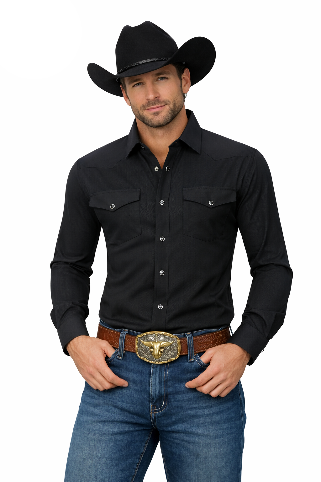 Snap Down Western Long Sleeve Shirt With Texture