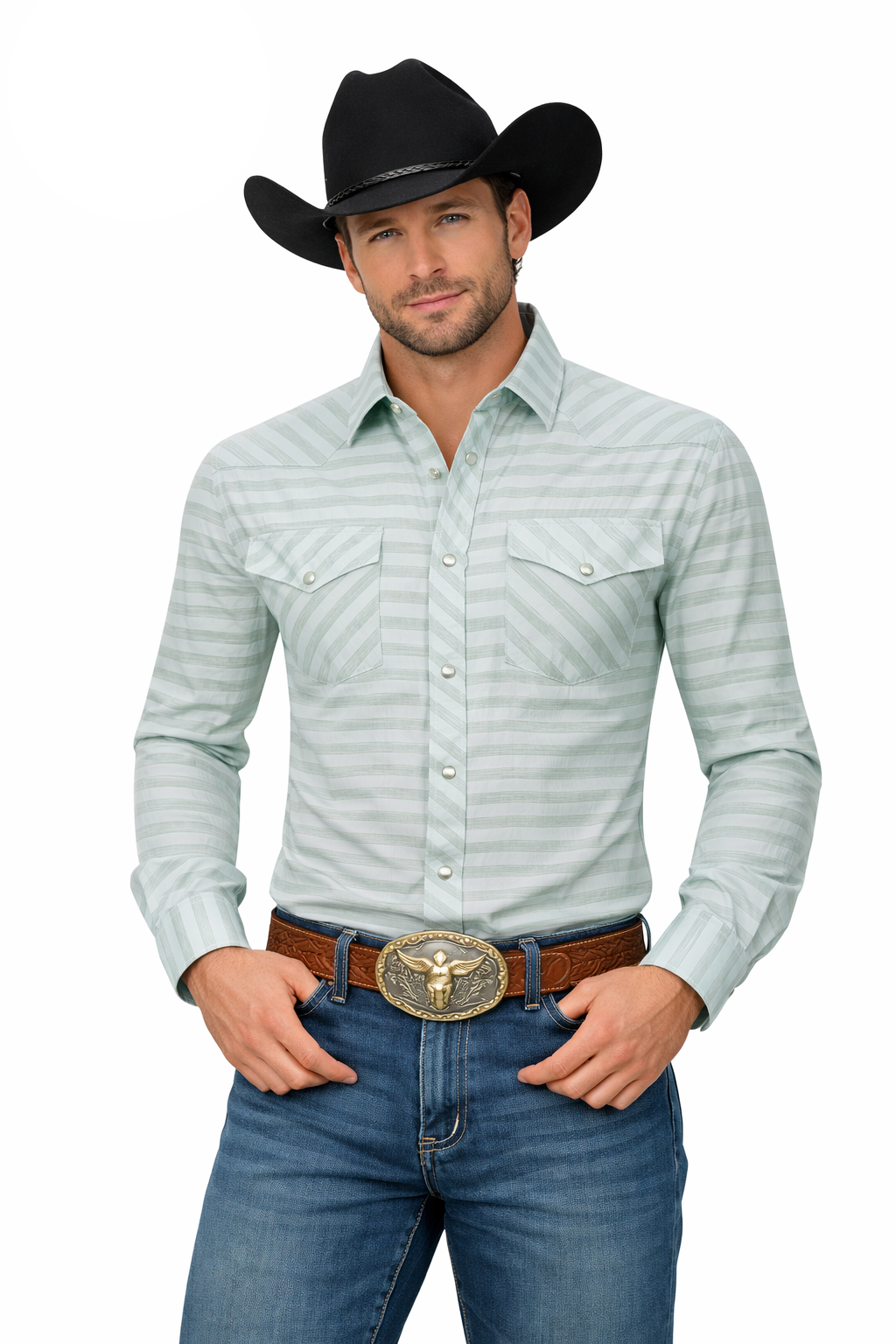 Tonal Stripe Western