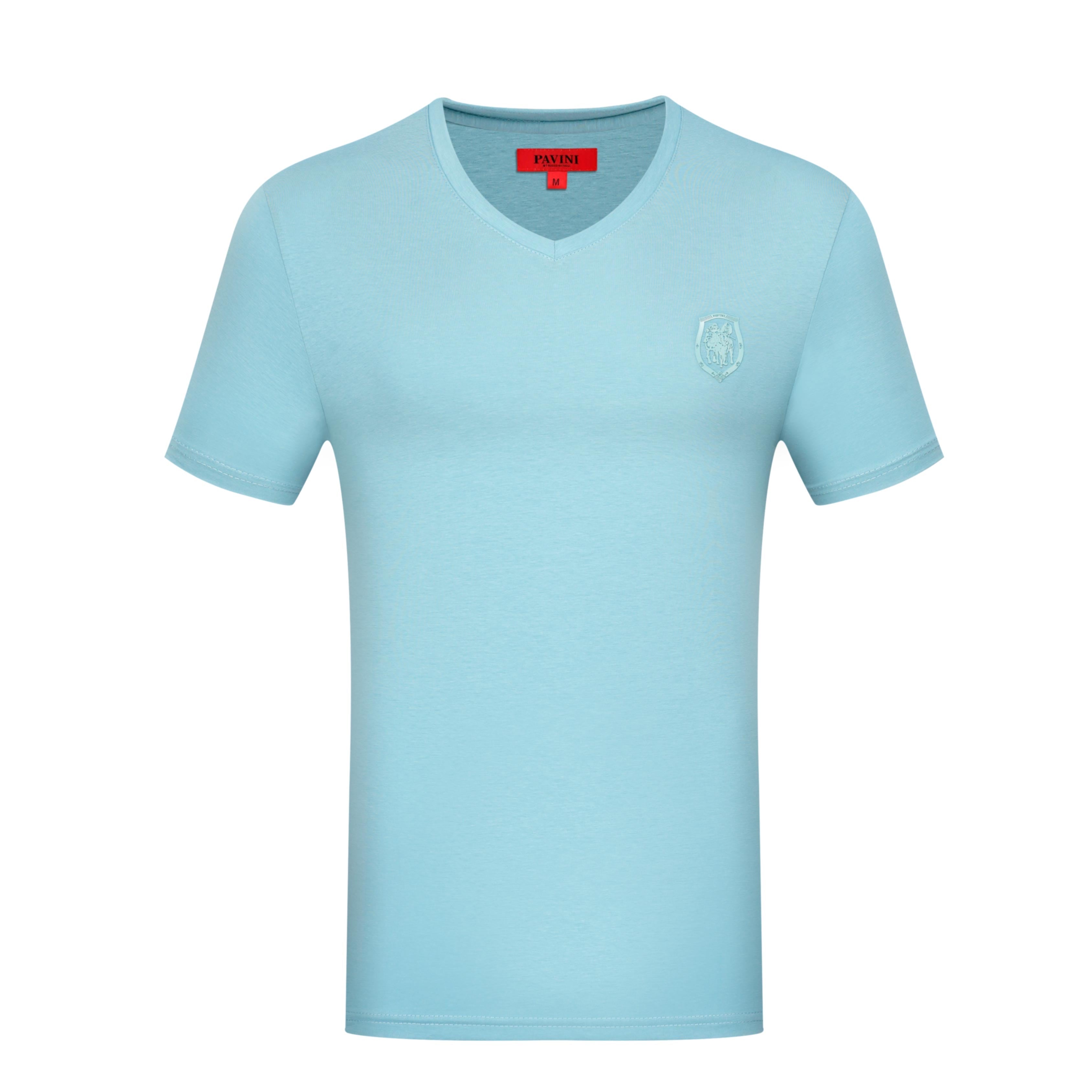 Classic V-Neck T-Shirt